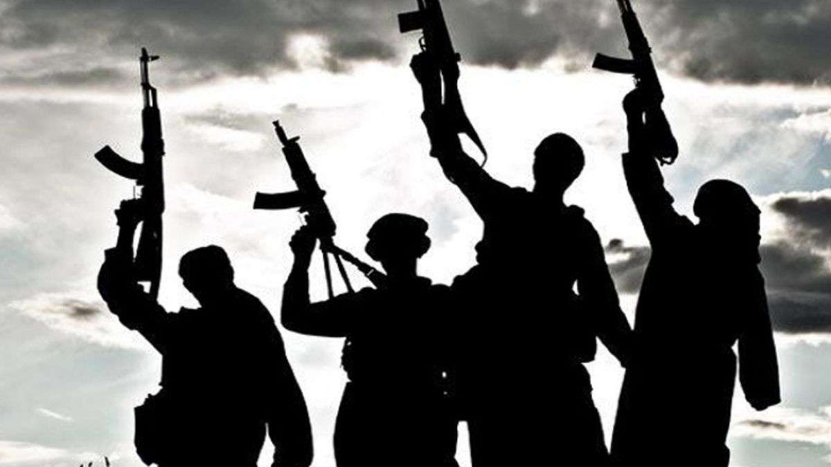पाकिस्तानी सुरक्षाबलों ने बलूचिस्तान में की बड़ी कार्रवाई, 35 आतंकी मारे गए, 3 कमांडर गिरफ्तार
