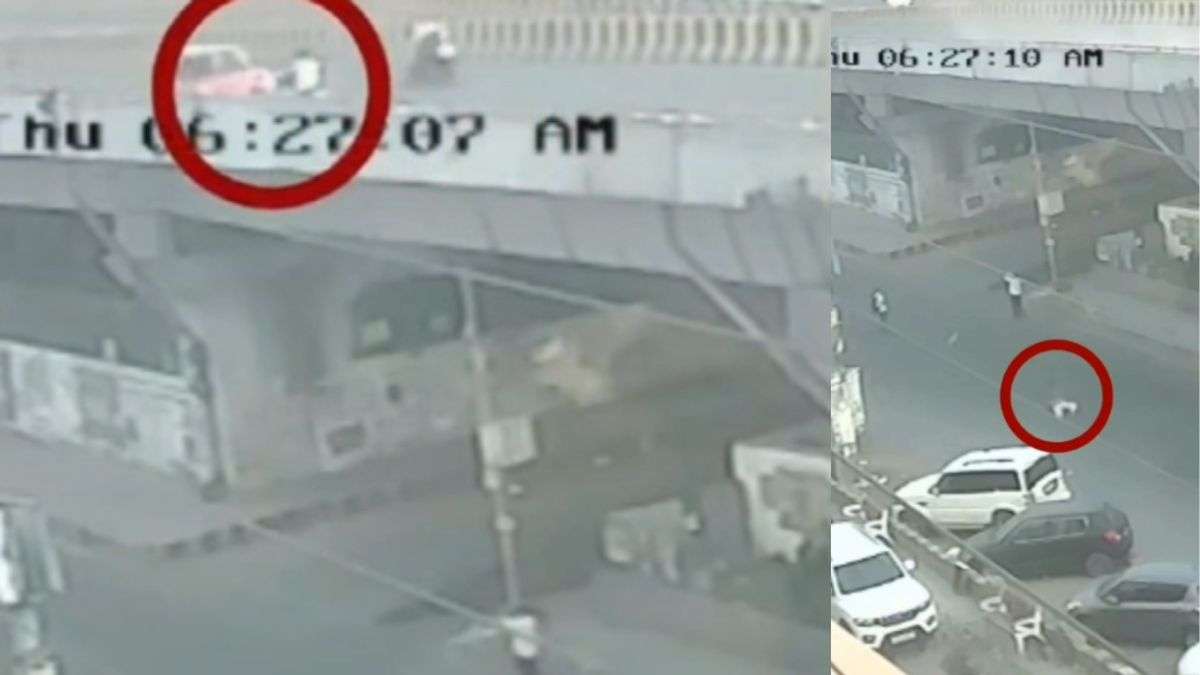 कार की टक्कर के बाद फ्लाईओवर से नीचे गिरा डिलीवरी बॉय, हुई मौत; सामने आया CCTV फुटेज