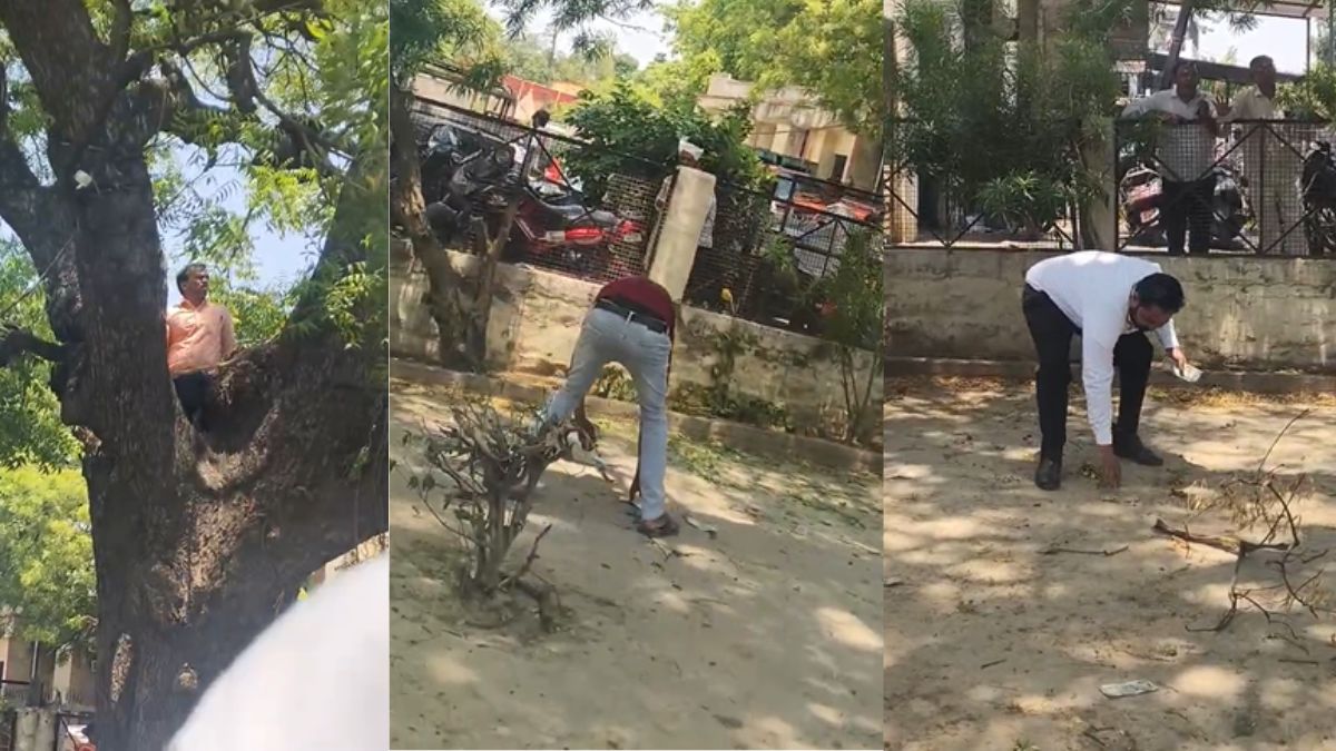 कोर्ट में हो गई नोटों की बारिश, पैसों से भरा बैग लेकर भागा बंदर, नोट बीनते दिखे लोग; VIDEO वायरल