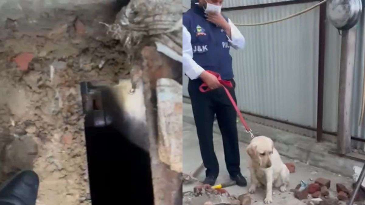 अनंतनाग पुलिस का बड़ा एक्शन, ड्रग तस्कर के घर बने अंडरग्राउंड ठिकाने को पकड़ा
