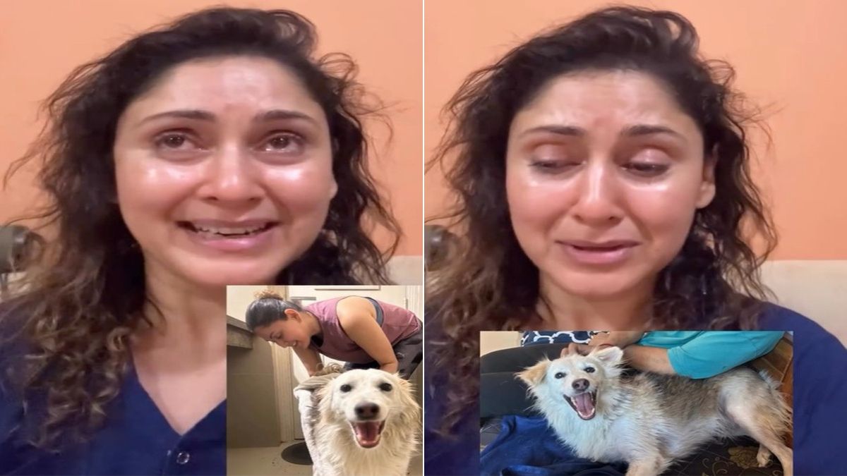 मुंबई में कम्युनिटी डॉग 'माइकी' का क्रूर मर्डर! दुर्लभ फॉरेंसिक जांच शुरू, बॉलीवुड स्टार्स कर रहे इंसाफ की मांग