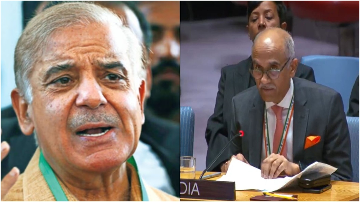 UN में भारत ने खोली पाकिस्तान की पोल, 'फितना अल-हिंदुस्तान' को बताया प्रायोजित झूठ, जानिए पूरा मामला