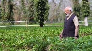 असम में चाय की बगान में पहुंचे PM मोदी, देश के लोगों से की ये अपील