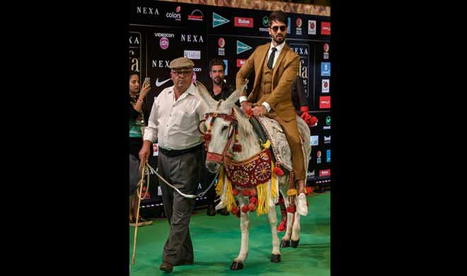 Shahid Kapoor Shahid Kapoor