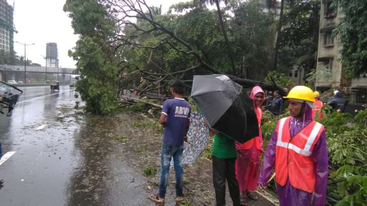 ईस्टर्न एक्सप्रेस हाईवे पर पेड़ गिर गया ईस्टर्न एक्सप्रेस हाईवे पर पेड़ गिर गया