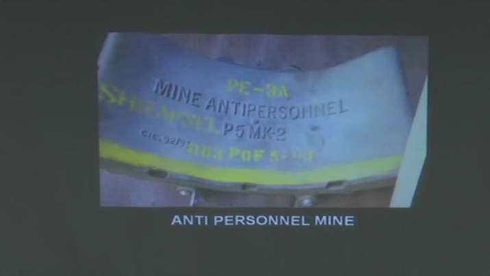 anti-personnel mine