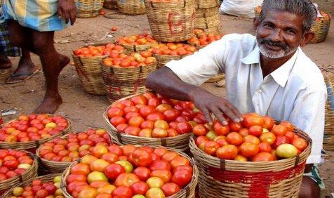 Feel a Pinch: कम उत्पादन महंगे टमाटर की नहीं वजह, कमजोर सप्लाई से चढ़े दाम Feel a Pinch: कम उत्पादन महंगे टमाटर की नहीं वजह, कमजोर सप्लाई से चढ़े दाम- India TV Paisa