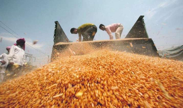 No more ‘Droughts’: अनाज उत्पादन 2015-16 में बढ़कर 25.31 करोड़ टन रहने का अनुमान, दालों की भी बढ़ेगी पैदावार No more ‘Droughts’: अनाज उत्पादन 2015-16 में बढ़कर 25.31 करोड़ टन रहने का अनुमान, दालों की भी बढ़ेगी पैदावार- India TV Paisa