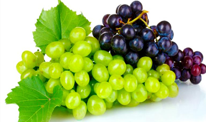 grapes grapes- India TV