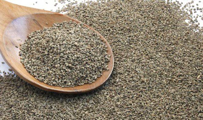 carom seeds carom seeds - India TV