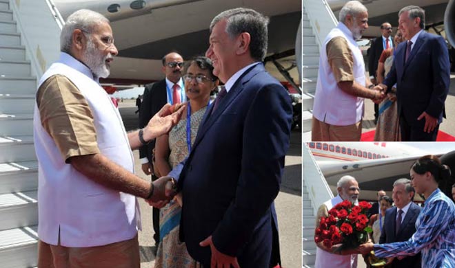 Narendra Modi Narendra Modi - India TV