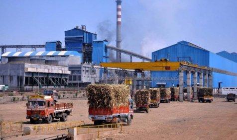 चीनी मिलों ने गन्ना किसानों के 92 फीसदी बकाए का किया भुगतान, 4225 करोड़ रुपए का बकाया शेष चीनी मिलों ने गन्ना किसानों के 92 फीसदी बकाए का किया भुगतान, 4225 करोड़ रुपए का बकाया शेष- IndiaTV Paisa