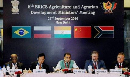 ब्रिक्स देशों ने दिया कृषि निर्यात सब्सिडी खत्म करने पर जोर, दलहन खेती को दिया जाएगा बढ़ावा ब्रिक्स देशों ने दिया कृषि निर्यात सब्सिडी खत्म करने पर जोर, दलहन खेती को दिया जाएगा बढ़ावा- India TV Paisa