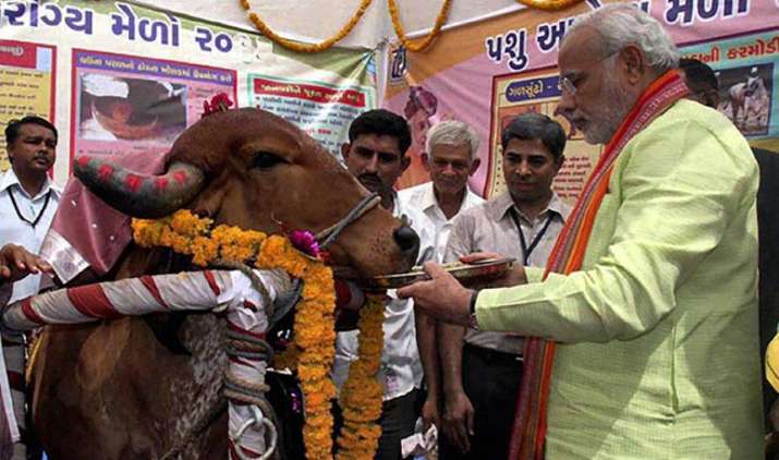 देसी गाय पालने वाले को मोदी सरकार देगी 5 लाख रुपए का इनाम, दूध उत्पादन बढ़ाने के लिए उठाया ये कदम देसी गाय पालने वाले को मोदी सरकार देगी 5 लाख रुपए का इनाम, दूध उत्पादन बढ़ाने के लिए उठाया ये कदम- India TV Paisa