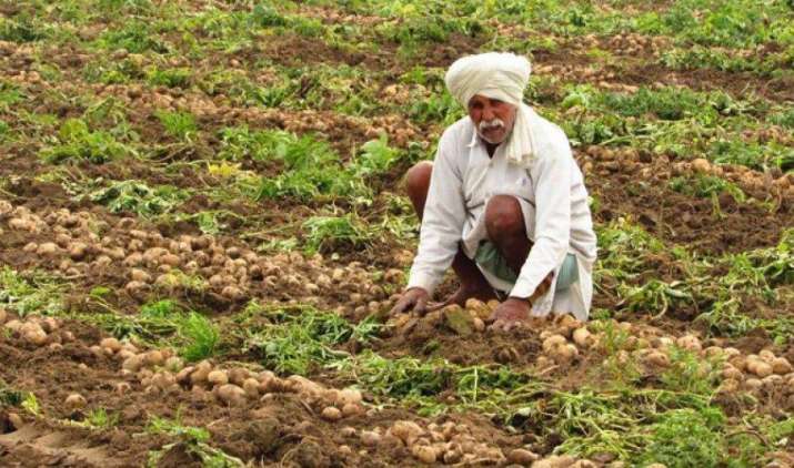 सरकार का 40 प्रतिशत बुआई क्षेत्र को बीमा के दायरे में लाने का लक्ष्य, किसानों को नुकसान से बचाने की कवायद सरकार का 40 प्रतिशत बुआई क्षेत्र को बीमा के दायरे में लाने का लक्ष्य, किसानों को नुकसान से बचाने की कवायद- India TV Paisa
