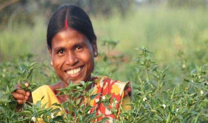 टाटा ट्रस्ट की मदद से चार राज्यों में उभर रहे हैं लखपति किसान, 450 गांवों में पहल टाटा ट्रस्ट की मदद से चार राज्यों में उभर रहे हैं लखपति किसान, 450 गांवों में पहल- India TV Paisa