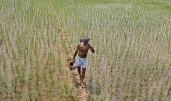 छोटे किसानों को मुफ्त बीज और कीटनाशक उपलब्ध कराने पर विचार कर रही है महाराष्ट्र सरकार छोटे किसानों को मुफ्त बीज और कीटनाशक उपलब्ध कराने पर विचार कर रही है महाराष्ट्र सरकार- India TV Paisa