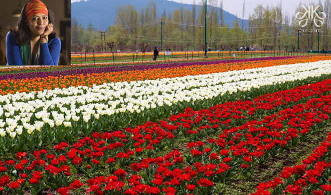 tulip garden tulip garden- India TV