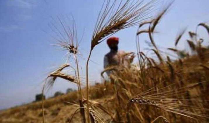 सरकार ने धान का MSP 80रुपए/क्विंटल बढ़ाया, दलहन के समर्थन मूल्य में 400रुपए/क्विंटल की वृद्धि सरकार ने धान का MSP 80रुपए/क्विंटल बढ़ाया, दलहन के समर्थन मूल्य में 400रुपए/क्विंटल की वृद्धि- India TV Paisa
