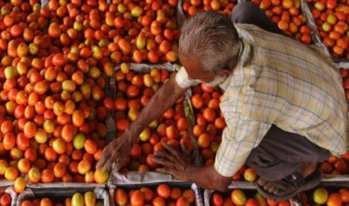 दिल्ली-एनसीआर में टमाटर के दाम पहुंचे 100 रुपए/किलो तक, भारी बारिश से आवक हुई कम दिल्ली-एनसीआर में टमाटर के दाम पहुंचे 100 रुपए/किलो तक, भारी बारिश से आवक हुई कम- IndiaTV Paisa