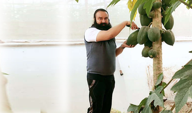 Ram-Rahim Ram-Rahim- India TV