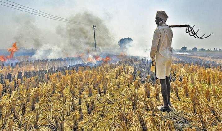 प्रदूषण ने खोल दिया किसानों के लिए कमाई का रास्ता, NTPC धान की ‘आधी’ कीमत पर खरीदेगी पराली प्रदूषण ने खोल दिया किसानों के लिए कमाई का रास्ता, NTPC धान की ‘आधी’ कीमत पर खरीदेगी पराली- India TV Paisa