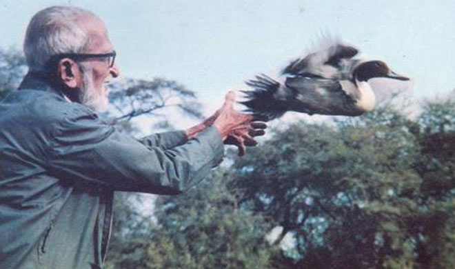 salim ali salim ali- India TV