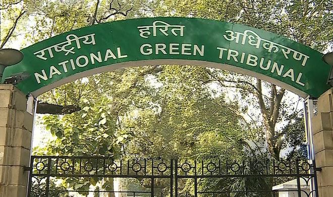 NGT NGT- India TV