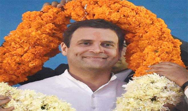 Rahul Gandhi Rahul Gandhi- India TV