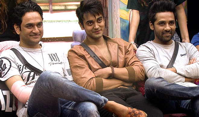 bigg boss 11, puneesh, vikas, luv bigg boss 11, puneesh, vikas, luv- India TV