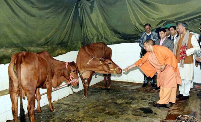 yogi adityanath yogi adityanath- India TV