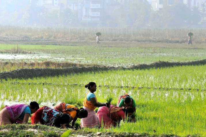 Farmers Income Farmers Income- India TV Paisa