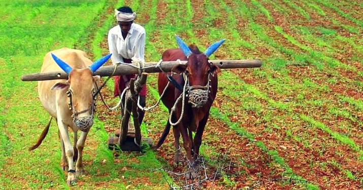Farm Income Farm Income- India TV Paisa