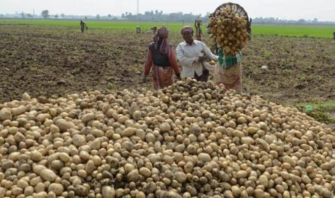 Representational Image | PTI Photo Representational Image | PTI Photo- India TV