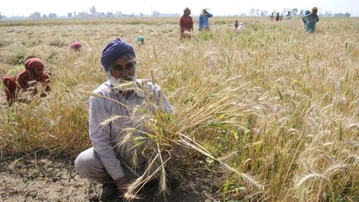 Punjab Farm Loan waiver scheme Punjab Farm Loan waiver scheme- India TV Paisa