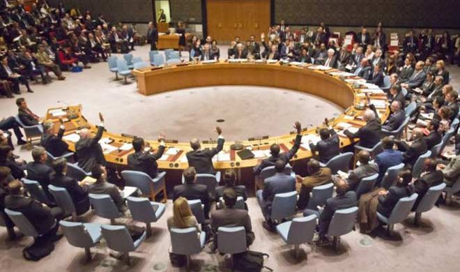 A team of United Nations Security Council reached Pakistan A team of United Nations Security Council reached Pakistan- India TV