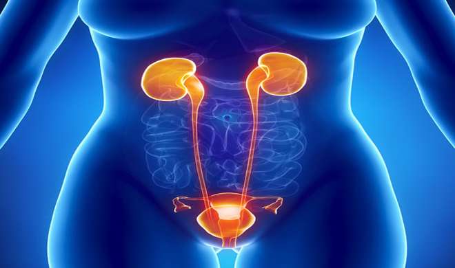 urinary infection urinary infection- India TV