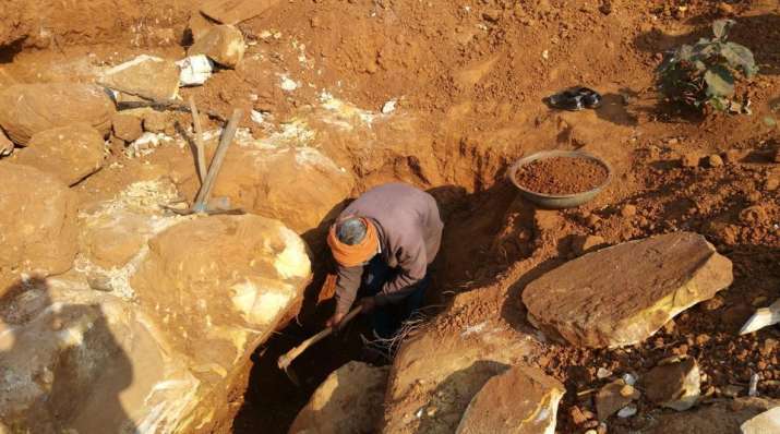 gold mine gold mine- India TV Paisa