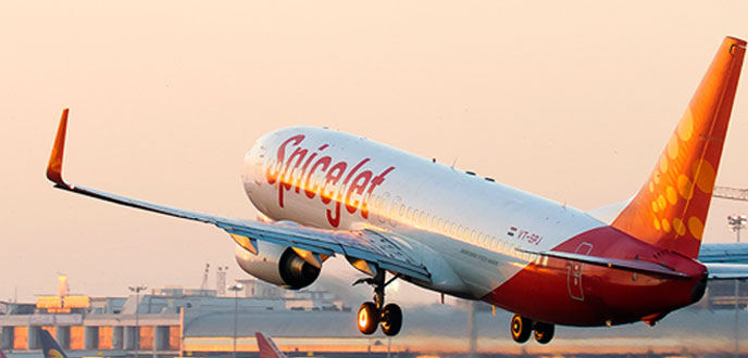 spicejet spicejet- IndiaTV Paisa