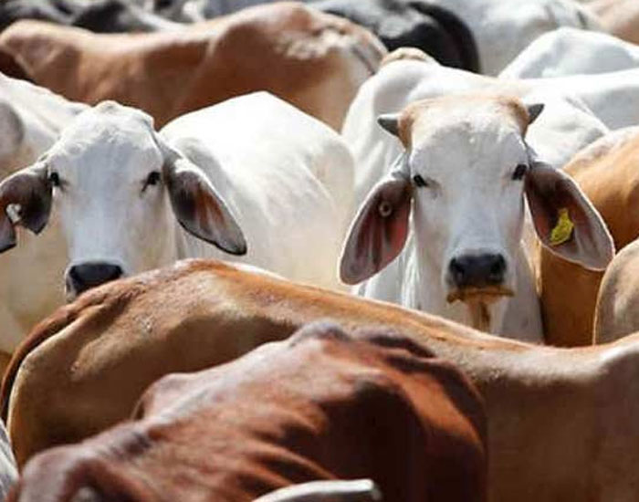 Representational Image | PTI Representational Image | PTI- India TV