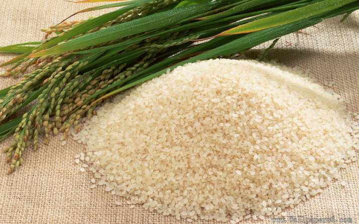 10 million tons rice 10 million tons rice- India TV Paisa