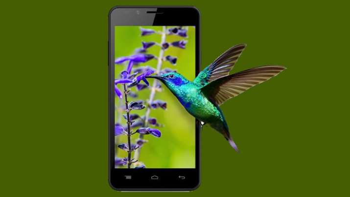 Intex Intex- India TV Paisa