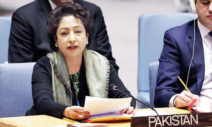Pakistan criticises India and other G4 nations on UNSC reform | AP Pakistan criticises India and other G4 nations on UNSC reform | AP- India TV