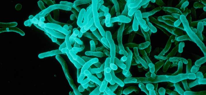 Disease X Disease X - Khabar IndiaTV