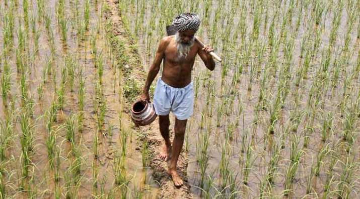 Agriculture Ministry To Soon Move Cabinet Note To Ensure Farmers Get MSP Agriculture Ministry To Soon Move Cabinet Note To Ensure Farmers Get MSP- India TV Paisa