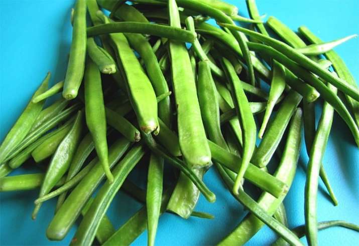 India Guargum export rose to 3 year high India Guargum export rose to 3 year high- India TV Paisa
