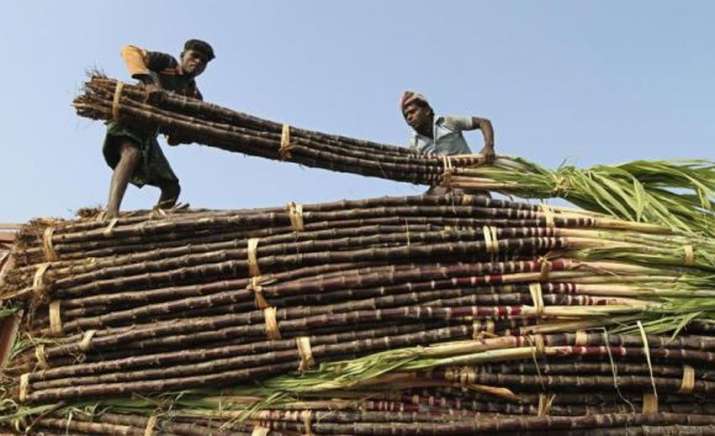 cane farmers cane farmers- India TV Paisa