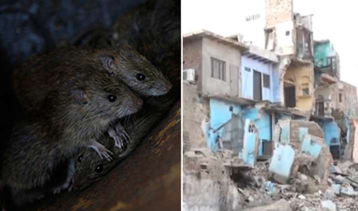 Rats bring down three-storey building in Agra Rats bring down three-storey building in Agra- Khabar IndiaTV