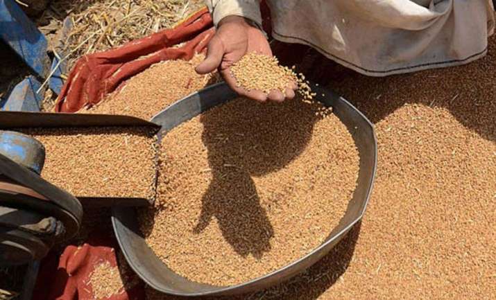 Wheat procurement surpasses 20 million tons Wheat procurement surpasses 20 million tons- India TV Paisa