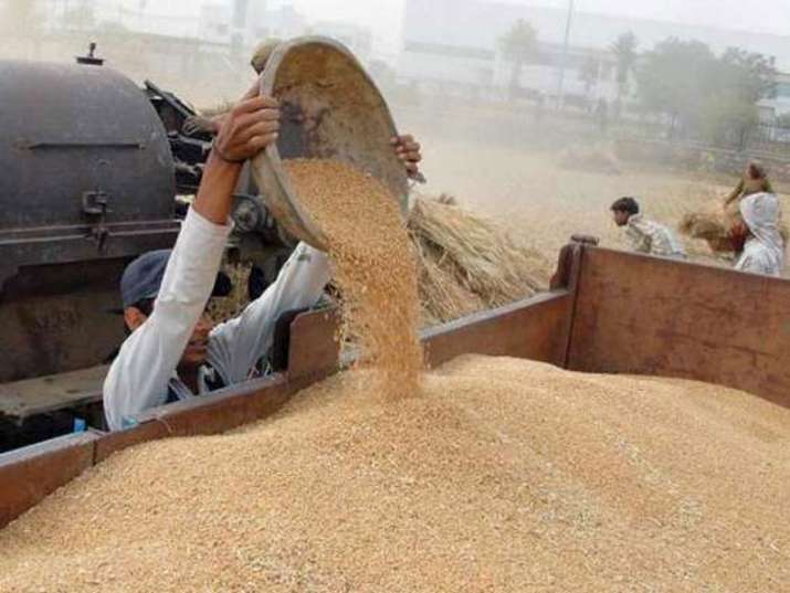 Wheat procurement target 85 percent achieved Wheat procurement target 85 percent achieved - India TV Paisa
